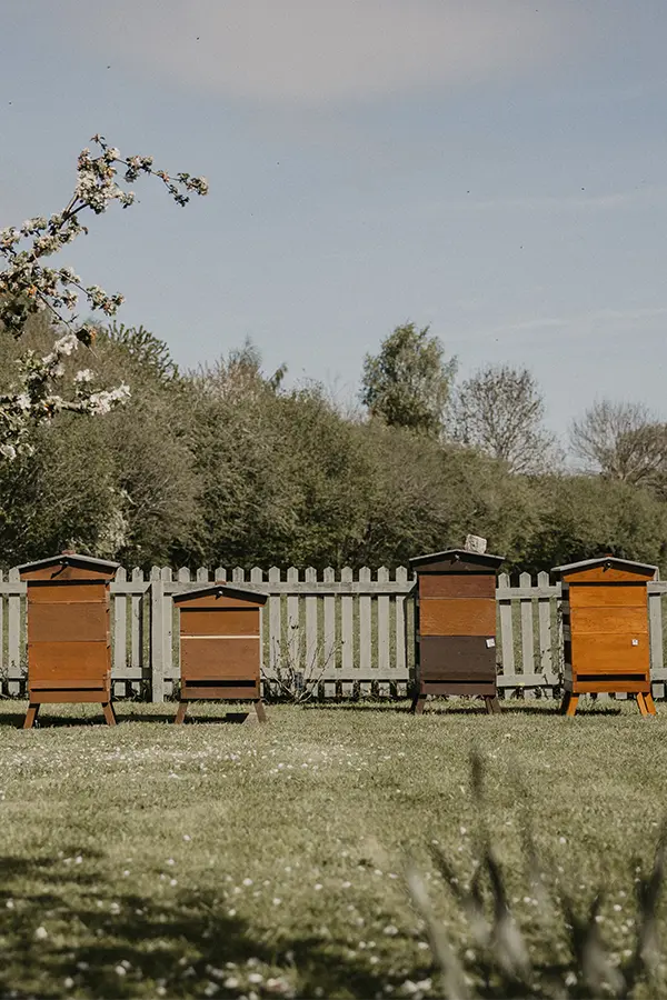 Four of our bee hives in the Cheshire countryside